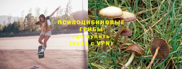 соль ск Алексин