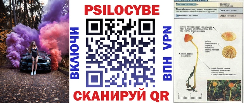 Псилоцибиновые грибы Psilocybe Новая Усмань